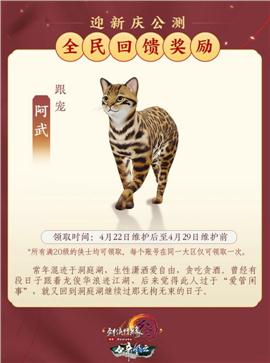 456天龙八部私服